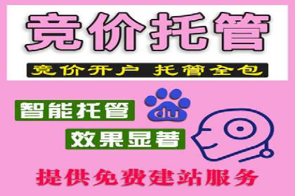 竞价开户策略解析：实战案例解读